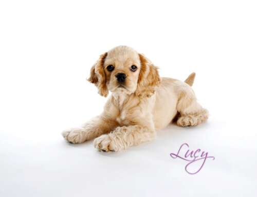 Lucy Makes Her Photo Shoot Debut